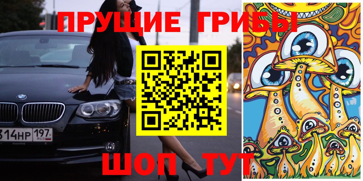 Галлюциногенные грибы Psilocybe Нефтекумск